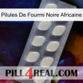 African Black Ant Pills 08